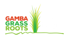 Gamba Grass Roots